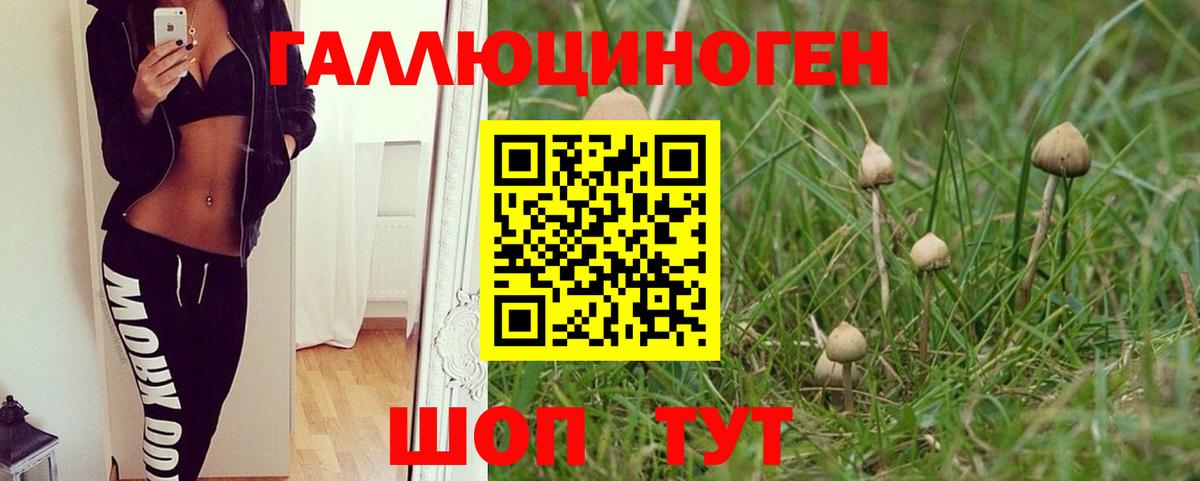 Псилоцибиновые грибы ЛСД Шелехов