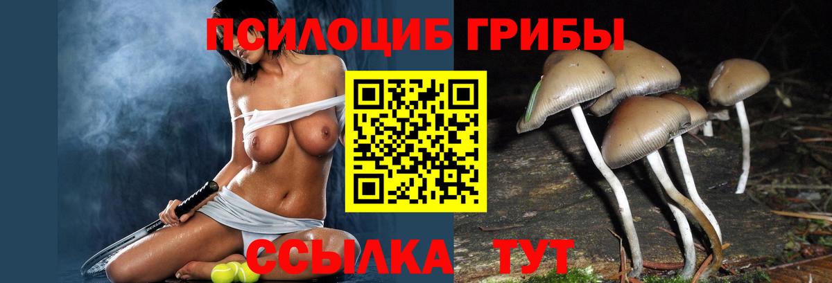 Шелехов  Псилоцибиновые грибы MAGIC MUSHROOMS  Вход с VPN 
